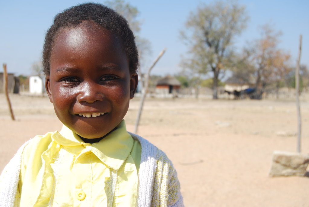 Solar Fridge for Vaccines for Livestock in Congo