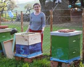 Beekeeping