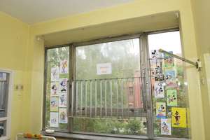 Mickey Mouse window