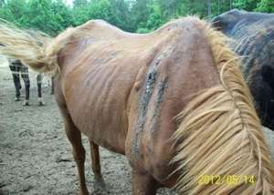 And another needing medical/nutrtional care.