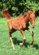Stori is improving daily!
