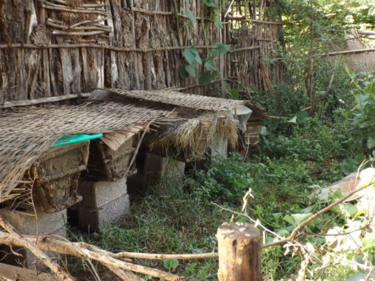Newly made hives in Wonjeta - with bees and honey