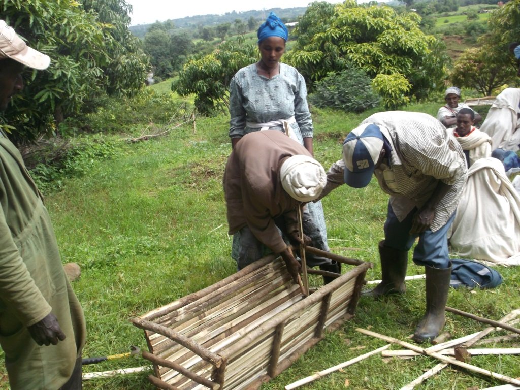 People and Bees in Ethiopia