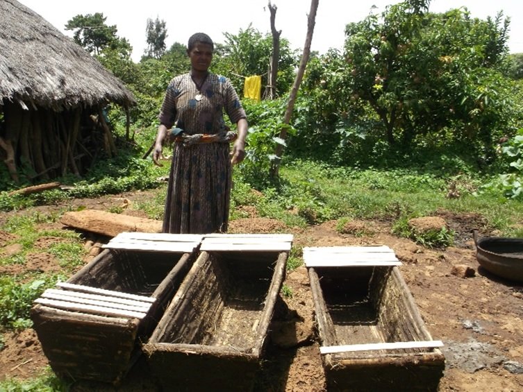 People and Bees in Ethiopia
