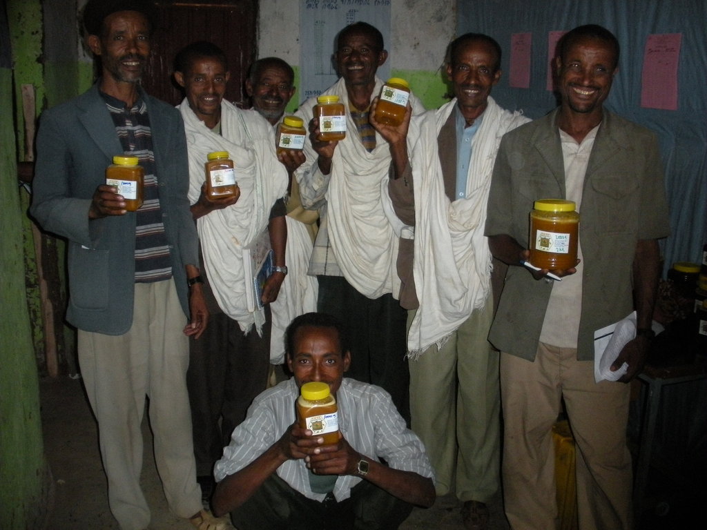 People and Bees in Ethiopia