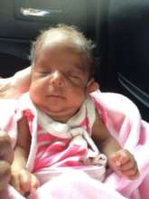 Baby of Vinutha - 12 weeks old