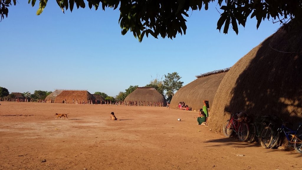 Bring the Kamayura chief to the United Nations