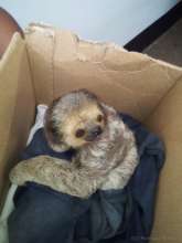 Baby Glenn arrived huddled in a box