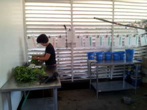 New Food preparation with patient records