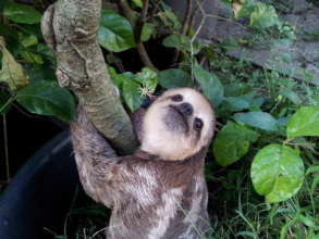 Naomi going to the toilet for the first time