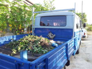 Sloth holding on to pickup cabin