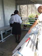 Sloth at the penitentiary facility