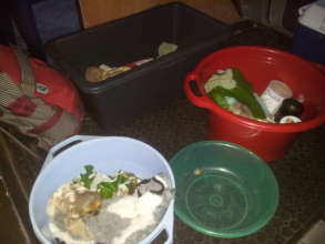 The 3 babies are transported to their incubators