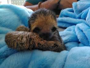 Gabriel one of the underweight babies upon arrival