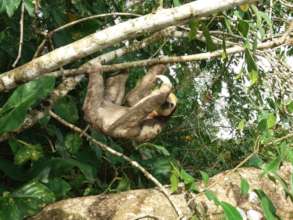 Champ leaving for his new home. Is he waving?