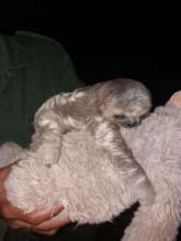 9July holding onto a toy sloth instead of her mom