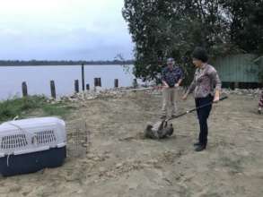 Almost in the kennel...