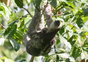 19November and 9July looking into the camera