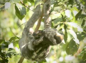 9July sitting upside down?