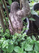 Karina outside to release herself