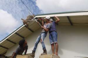 A building crew helping to bring a sloth down