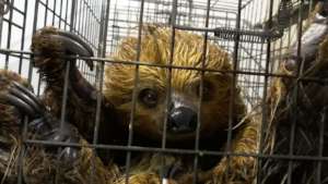 Wet, but away from the busy road