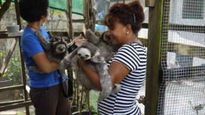 Babies love being outside & hitching rides inside!