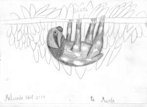 Malunde's release picture