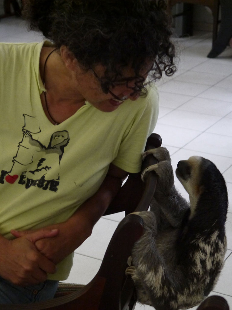 Sanctuary helps Suriname's sloths back to jungle