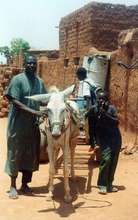 The Water Cart