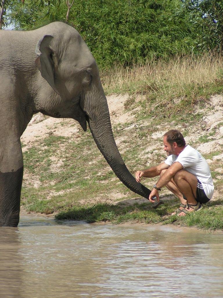 Provide Emergency Care for Lucky the Elephant