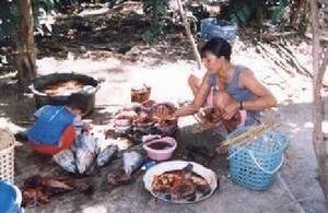 Poor women micro-enterprise development-Indonesia
