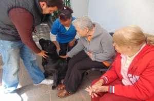 Dog therapy