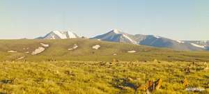 threatened Ukok Plateau -- "pastures of heaven"
