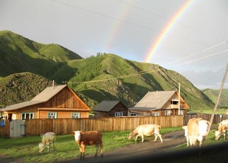 Prevent desecration of pristine Altai habitats