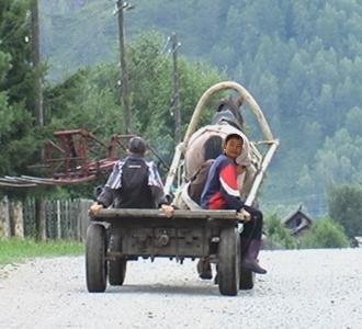 Prevent desecration of pristine Altai habitats