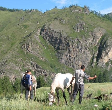 Prevent desecration of pristine Altai habitats