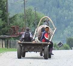 Wagon