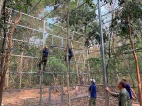 Constructing new bird enclosures in Angkor