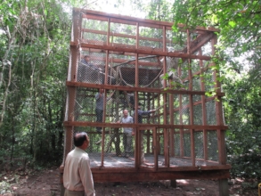 Branching out a gibbon pre-release enclosure