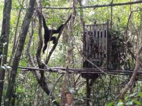 Baray inspects the catch cage