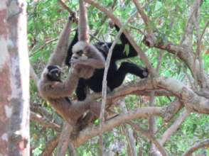 Play time for Baray, Saranick & Ping-peeung