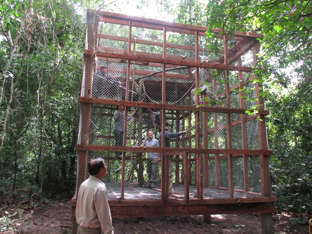 Help Bring Wildlife Back to Angkor Forest