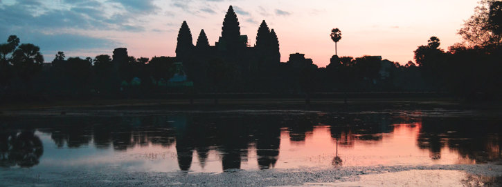 Help Bring Wildlife Back to Angkor Forest
