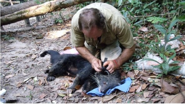 Help Bring Wildlife Back to Angkor Forest