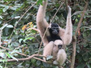 2nd infant (born 2017) of 1st pair released & mom