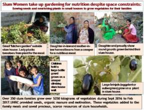 Slum Women take up gardening for nutrition