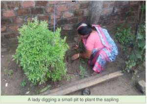A lady digs pit for plants to be grown