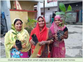 Slum women showing small plants to be grown