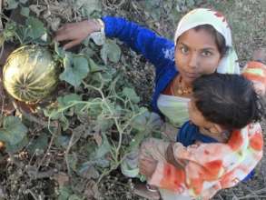 A woman shows her grown pumpkin with her baby
